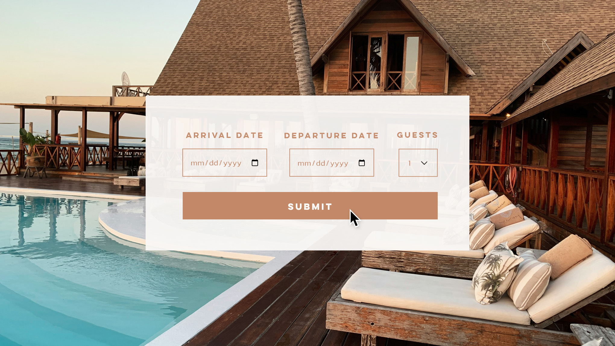 Case Study Website Feature 202607